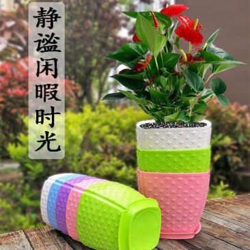 树脂塑料花盆批发绿萝多肉植物盆栽水培花盆带托盘加厚白方形