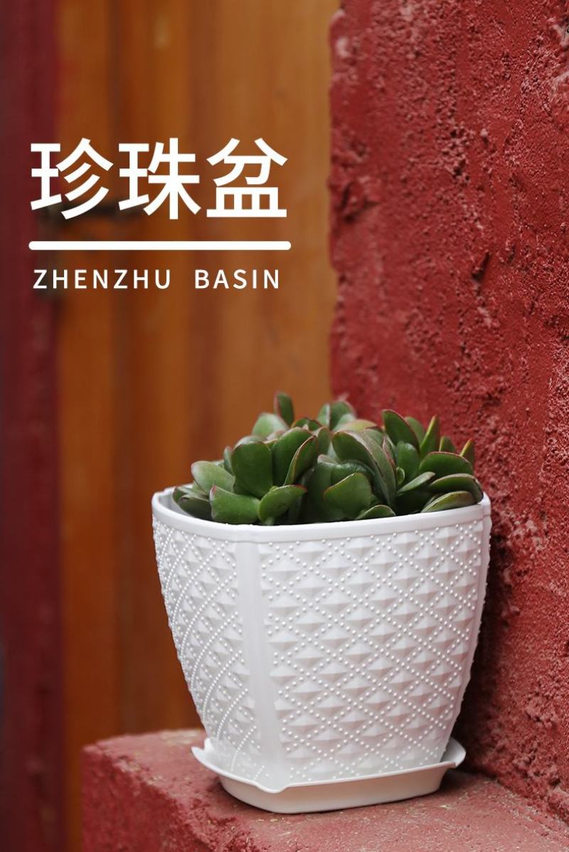 树脂塑料花盆批发绿萝多肉植物盆栽水培花盆带托盘加厚白方形