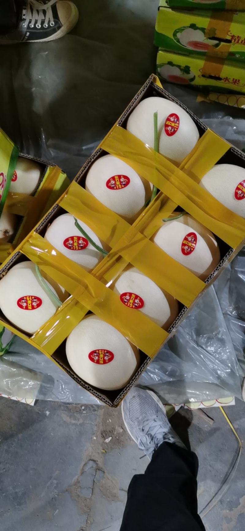 山东省聊城市莘县红金密甜瓜
