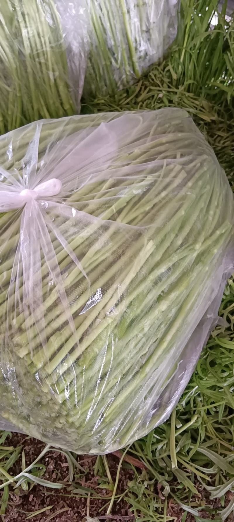 芦蒿自产自销，没有中间商差价
