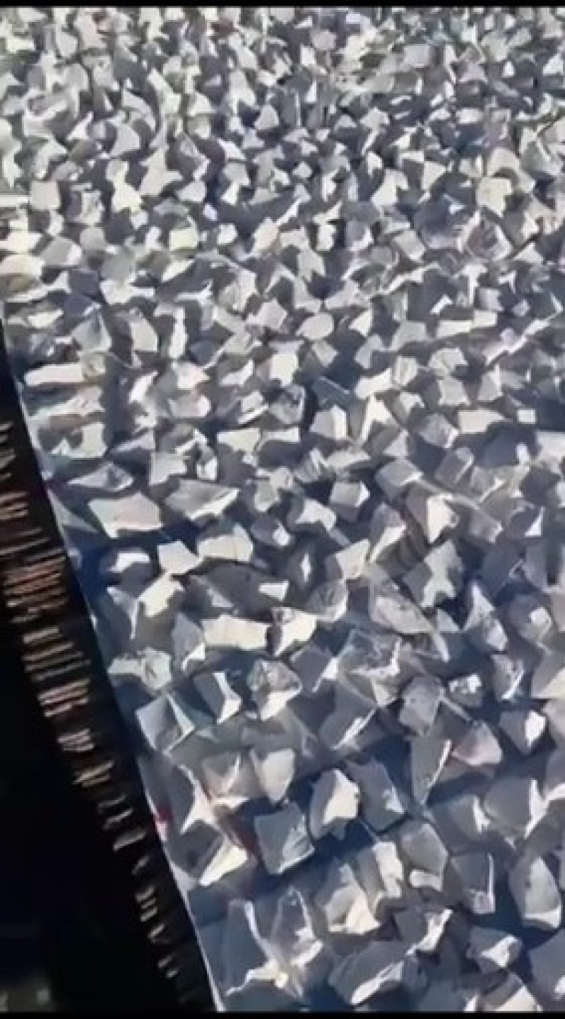 滨海特产白何首乌