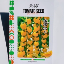 天禧金串串黄色小番茄种子无限生长型樱桃番茄种子水果番茄种