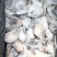【厂家直销】深海鳕鱼段，新鲜宝宝辅食添加，鳕鱼片。