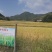 睌稻