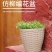 整件批树脂花盆多肉特价清仓仿竹编款花卉绿植环保塑料创意