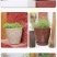 整件批树脂花盆多肉特价清仓仿竹编款花卉绿植环保塑料创意