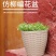 整件批树脂花盆多肉特价清仓仿竹编款花卉绿植环保塑料创意