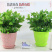 整件批树脂花盆多肉特价清仓仿竹编款花卉绿植环保塑料创意