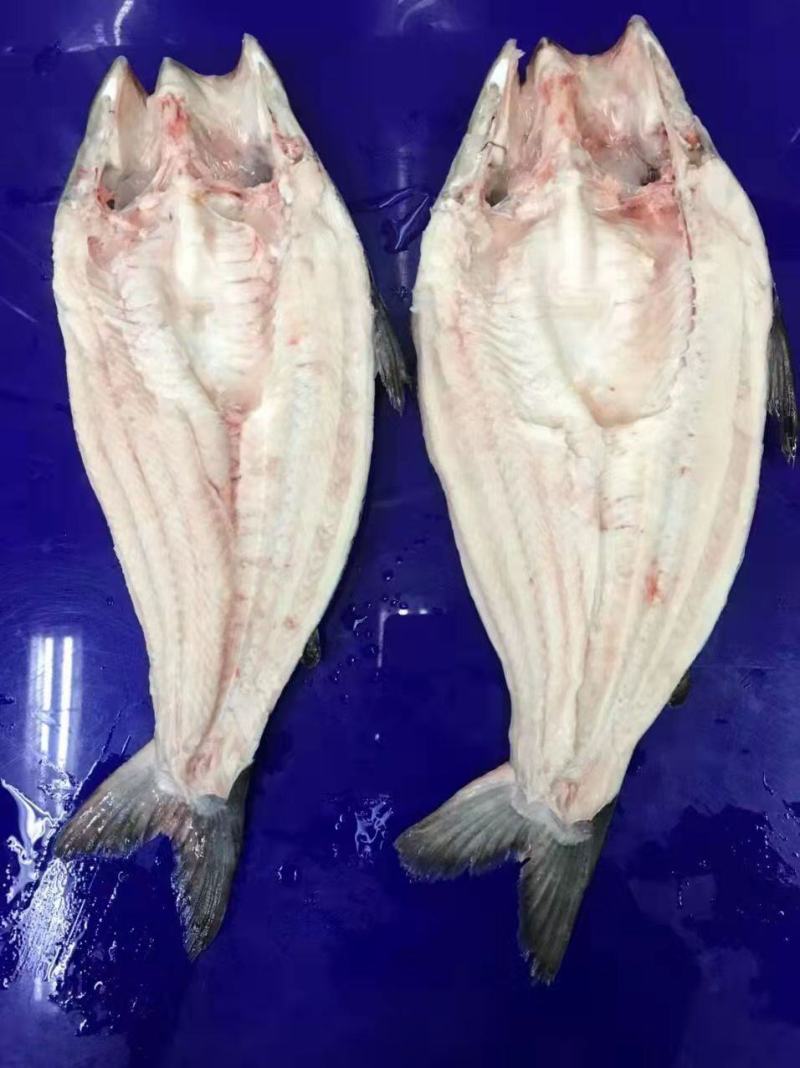 越南巴沙鱼（厂号DL69）