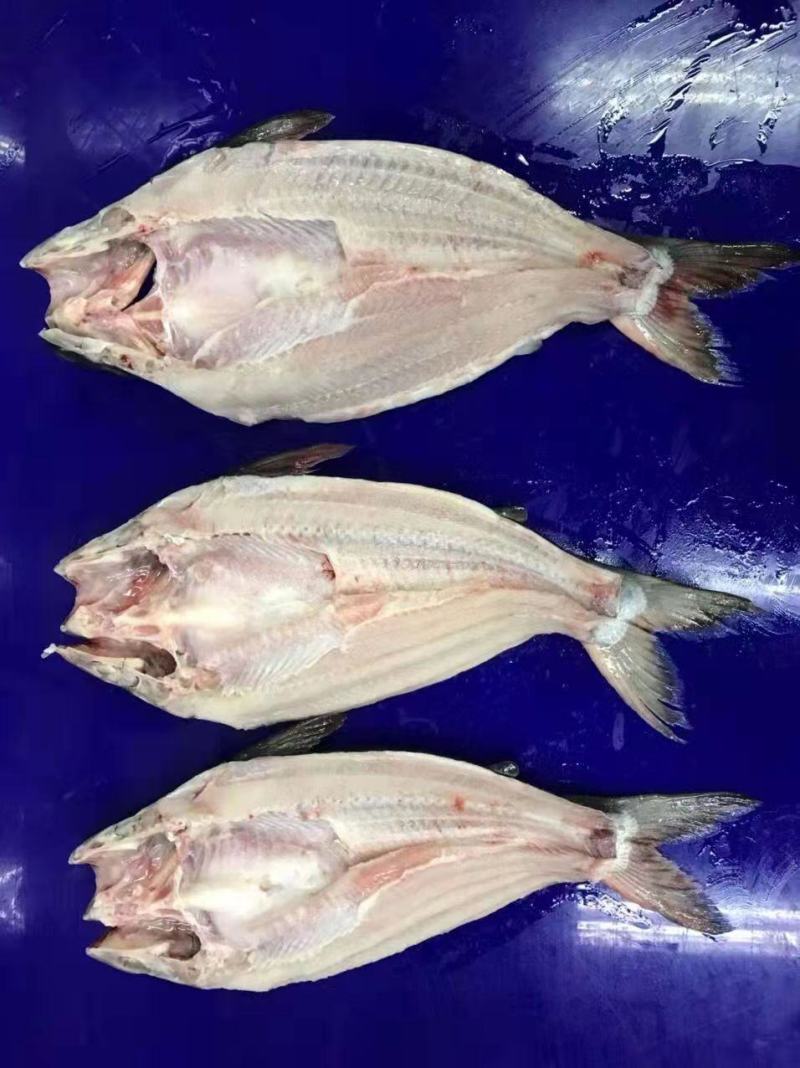 越南巴沙鱼（厂号DL69）