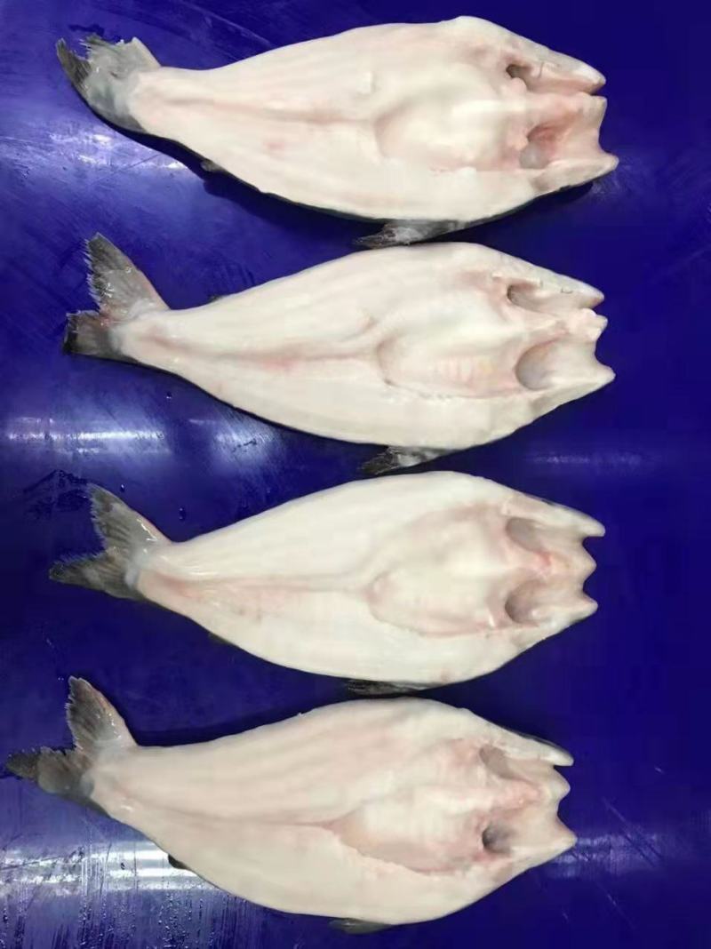 越南巴沙鱼（厂号DL69）