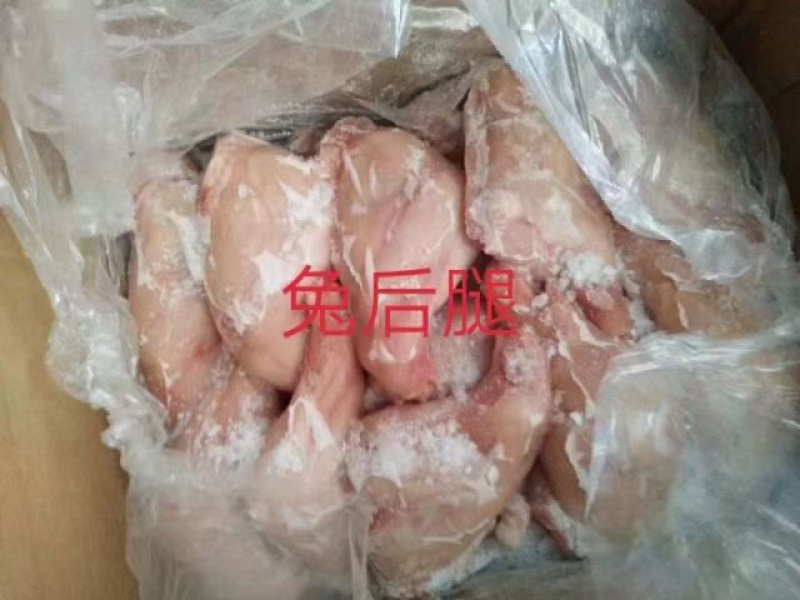 兔产品批发