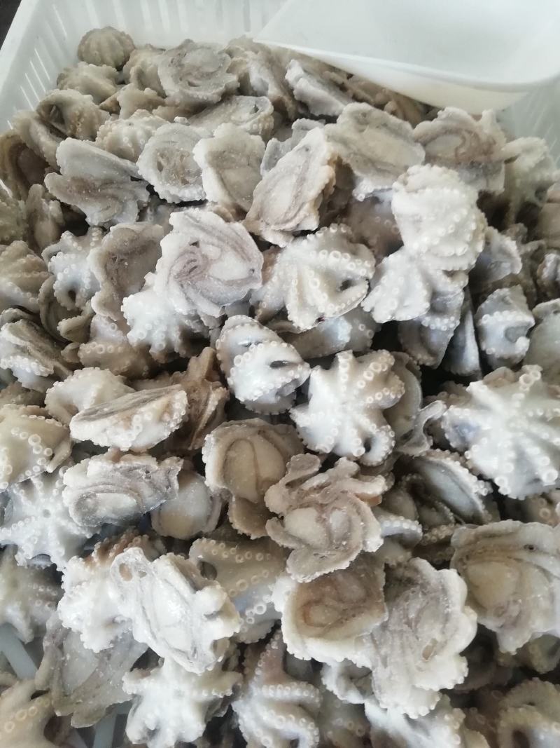 八爪鱼，脆口小章鱼，八爪鱼段货源充足大量供应欢迎合作