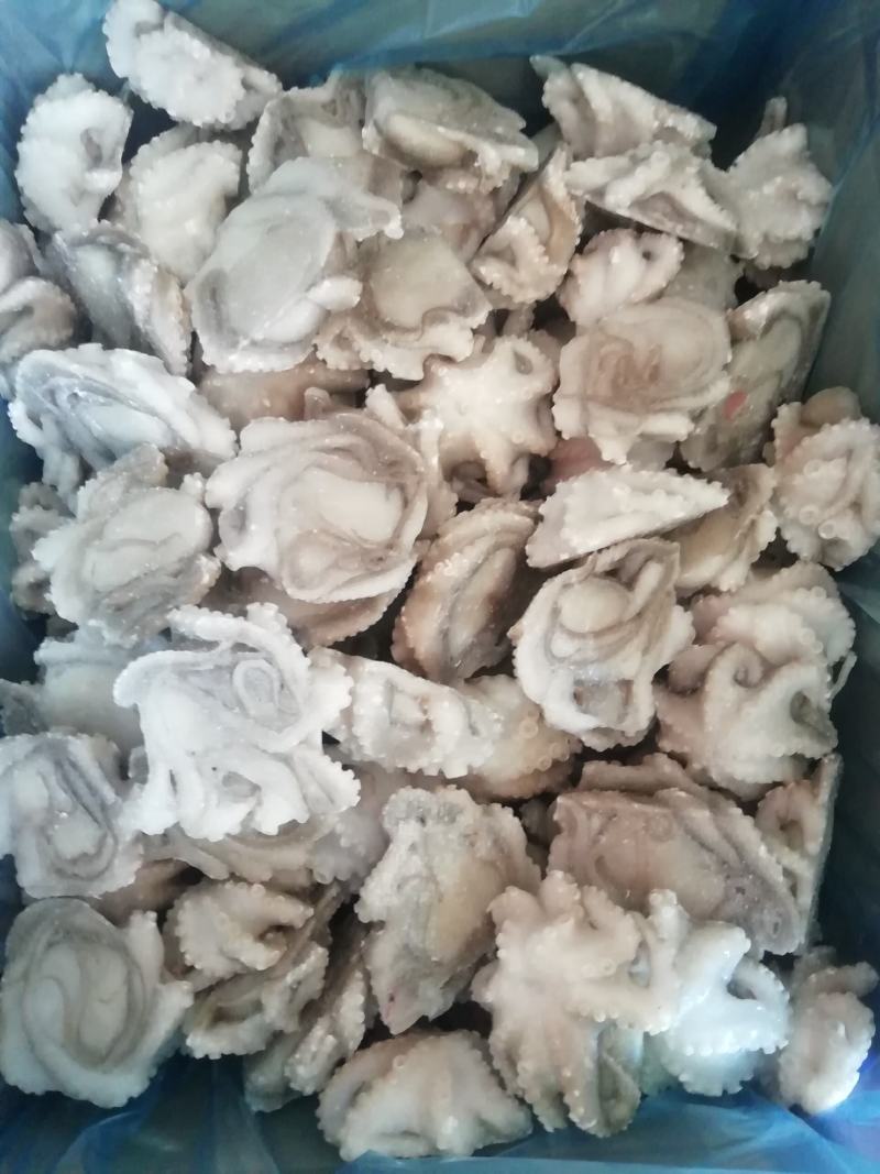 八爪鱼，脆口小章鱼，八爪鱼段货源充足大量供应欢迎合作