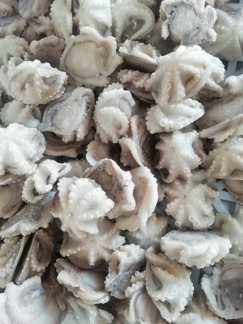 八爪鱼，脆口小章鱼，八爪鱼段货源充足大量供应欢迎合作