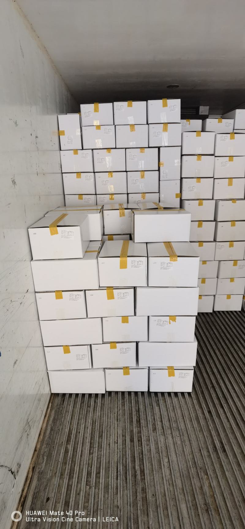 八爪鱼，脆口小章鱼，八爪鱼段货源充足大量供应欢迎合作