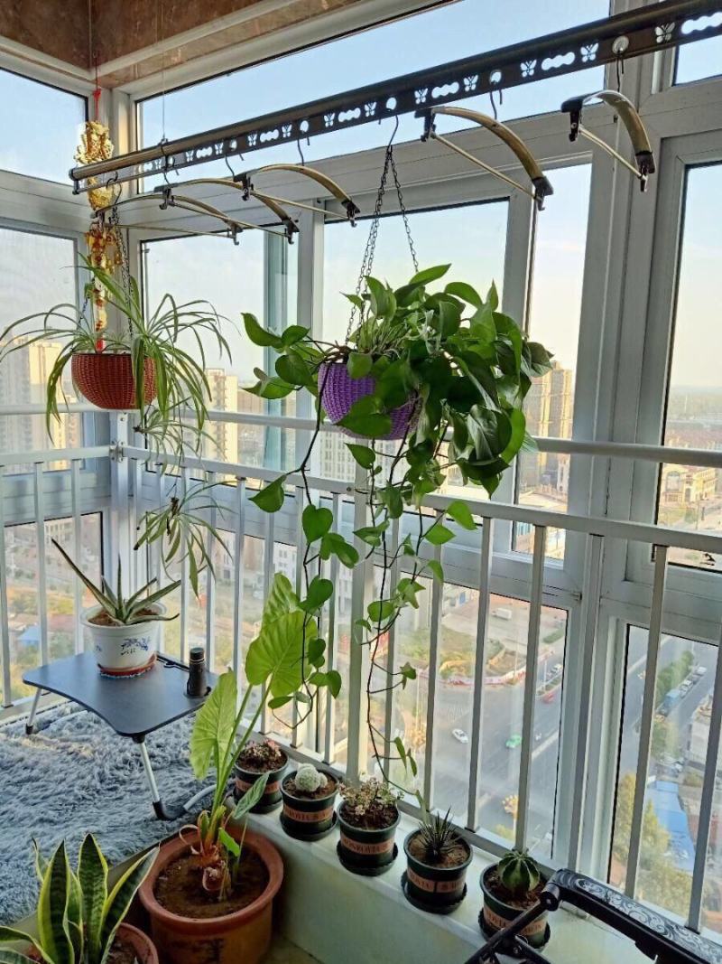 吊厂家整件批发零售仿竹编树脂懒人吊兰盆塑料花盆多彩吊兰盆