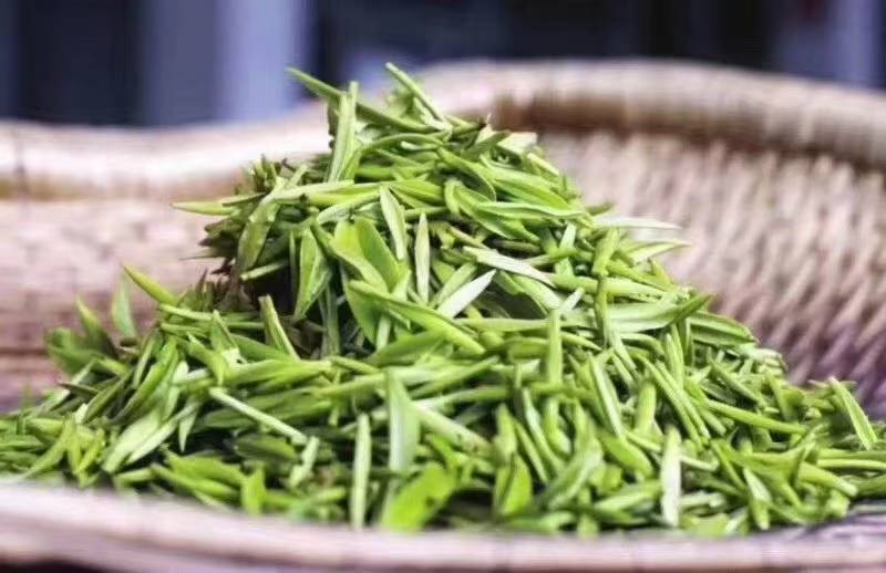 苏州市吴中区东山镇，洞庭碧螺春。