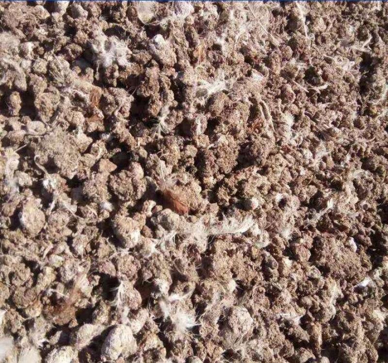 南阳鸡粪生物有机肥常年有货基地直发大量供应