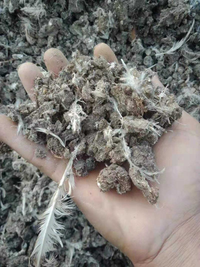 南阳鸡粪生物有机肥常年有货基地直发大量供应