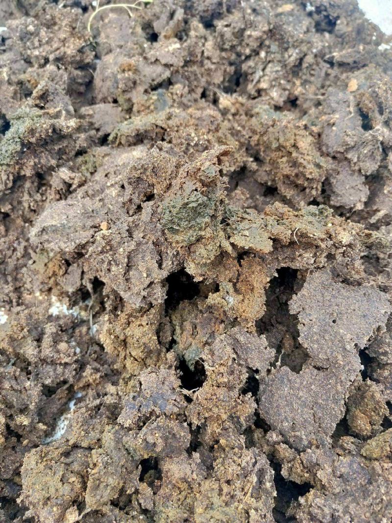 南阳鸡粪生物有机肥常年有货基地直发大量供应