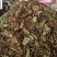 火炭母，新货颜色好的没有粉末
