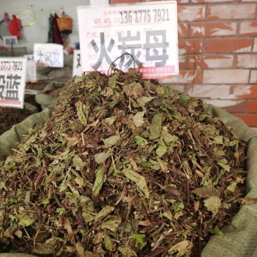 火炭母，新货颜色好的没有粉末