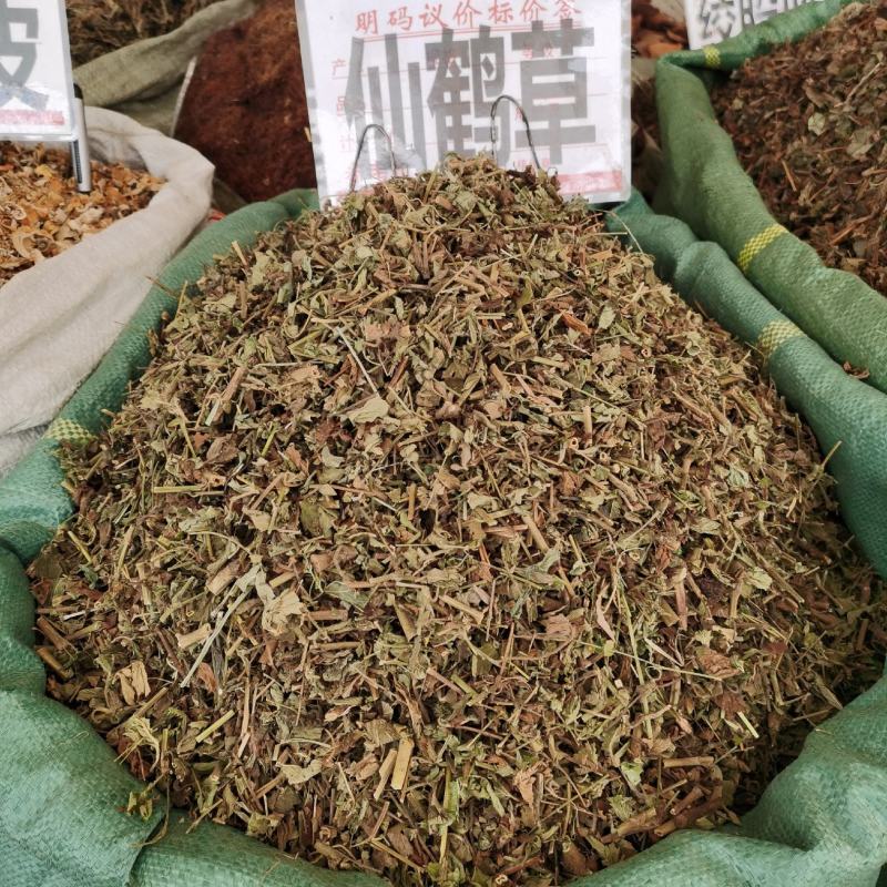 伸筋草