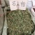 伸筋草