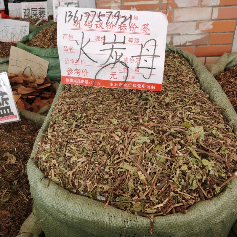 伸筋草