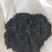 新黄芩种子(纯新种子)保证发芽率95%以上诚信代收
