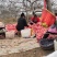 洛川苹果甲天下
