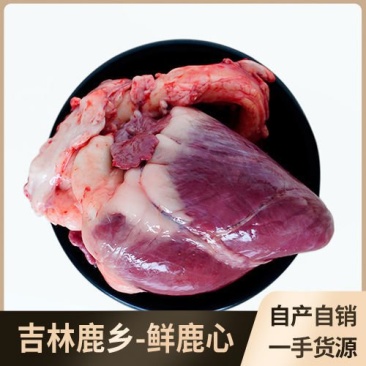 东北吉林新鲜鹿心鹿心，顺丰空运包邮产地鹿场直发