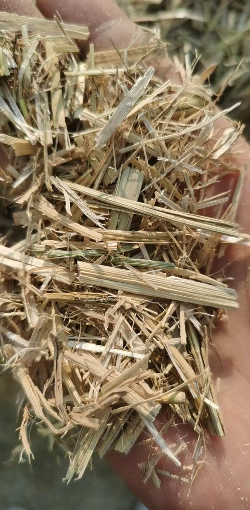 稻草铡段稻草（谷草）3-5公分。大小捆克拉斯铡段。