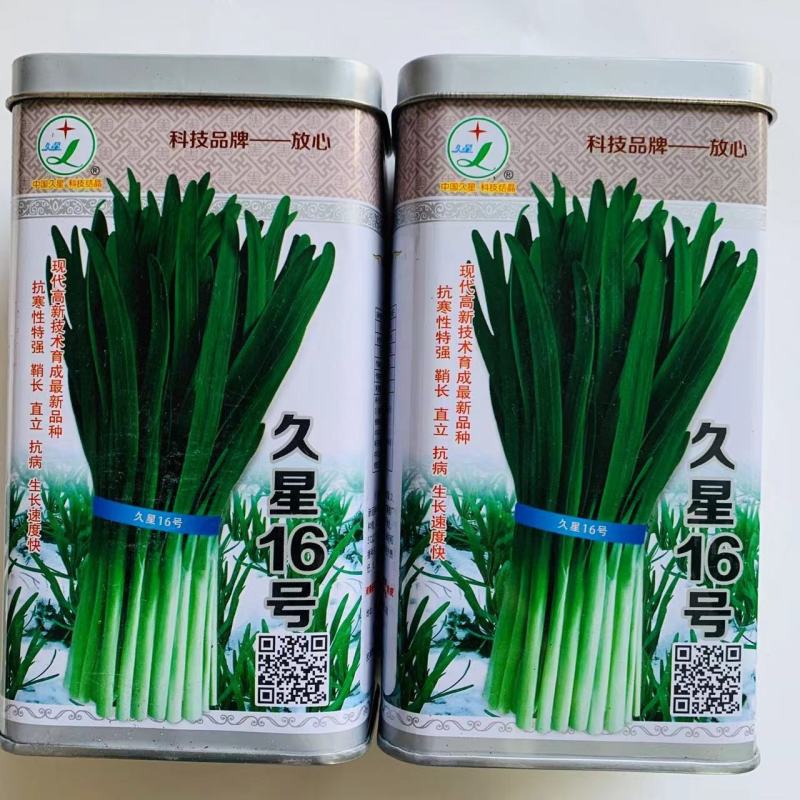 久星16号韭菜种子深绿色极耐寒抗倒伏不休眠韭菜种子高产