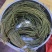 马尾千金草足干货（马尾伸筋草）