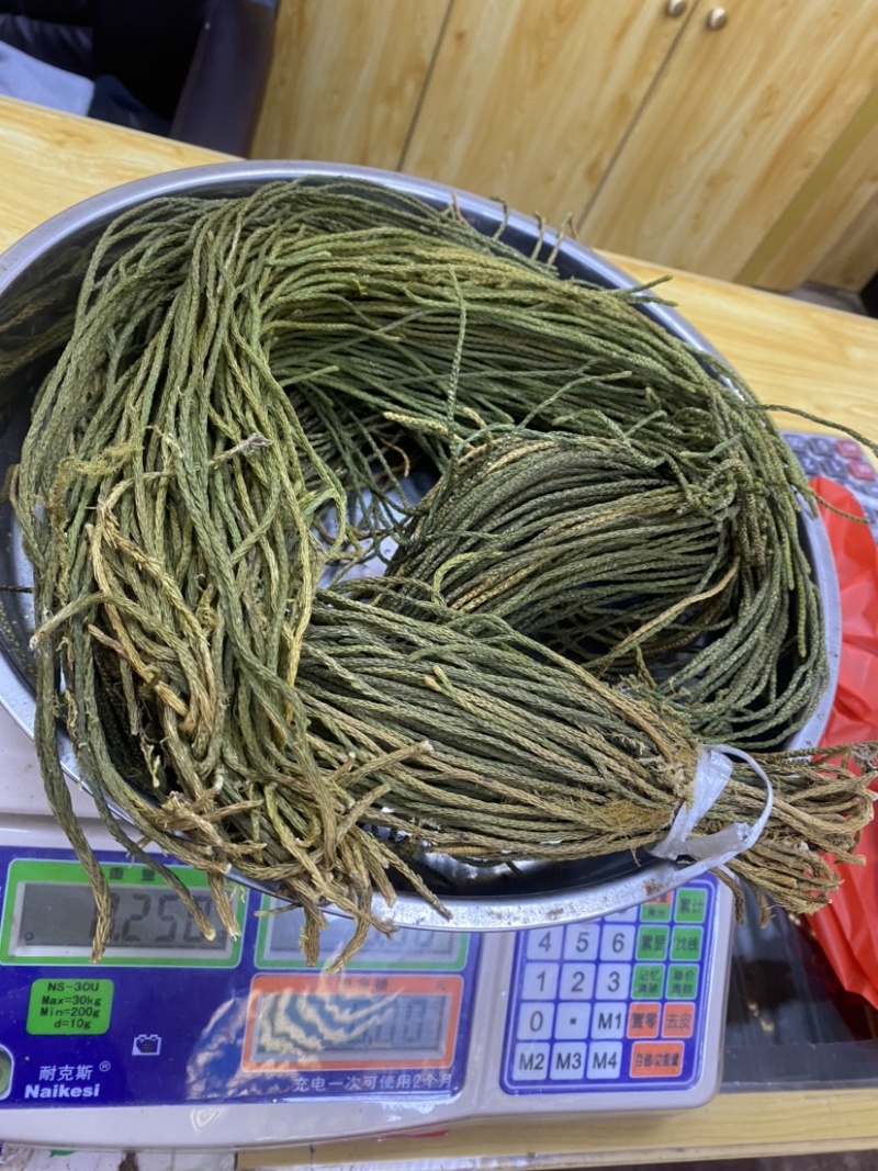 马尾千金草足干货（马尾伸筋草）