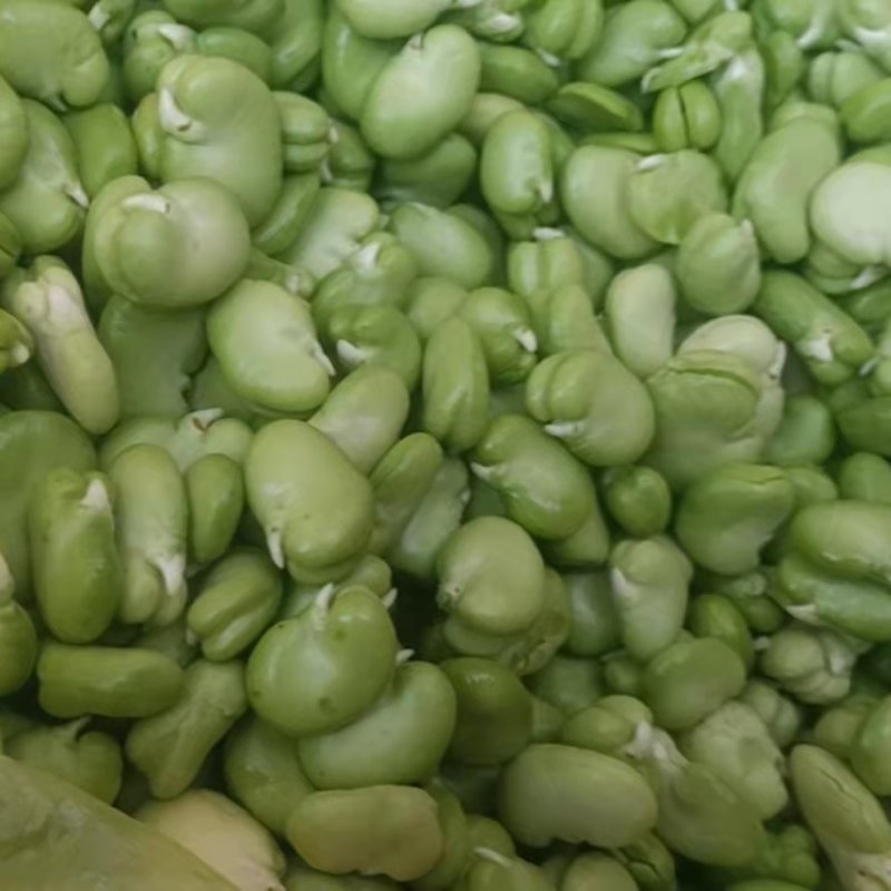【新鲜当日看得见】新鲜蚕豆米，现摘现博豆米，量大从优