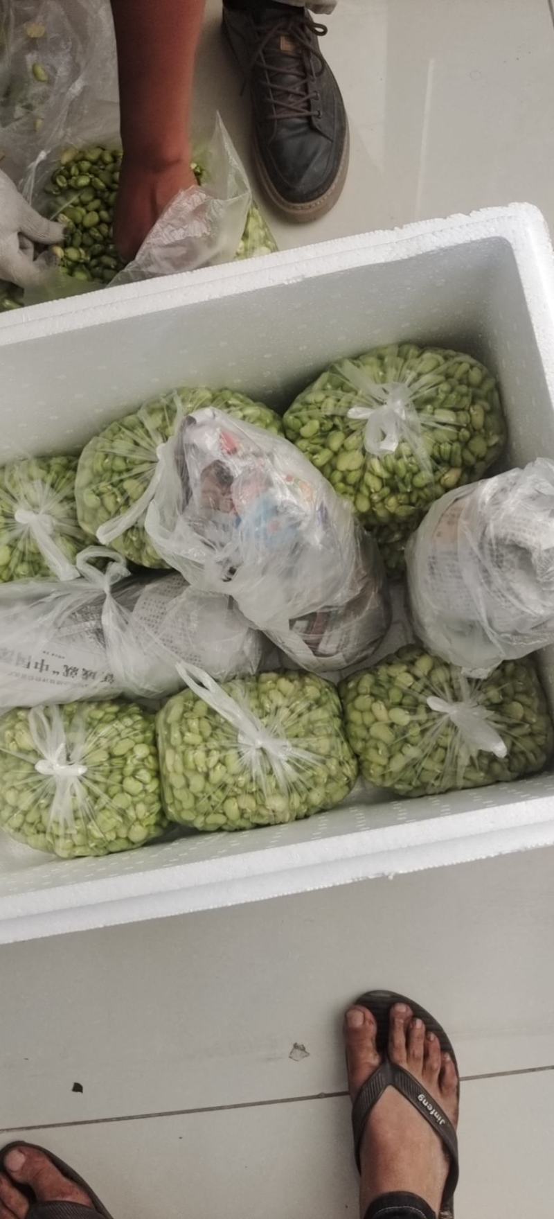 【新鲜当日看得见】新鲜蚕豆米，现摘现博豆米，量大从优