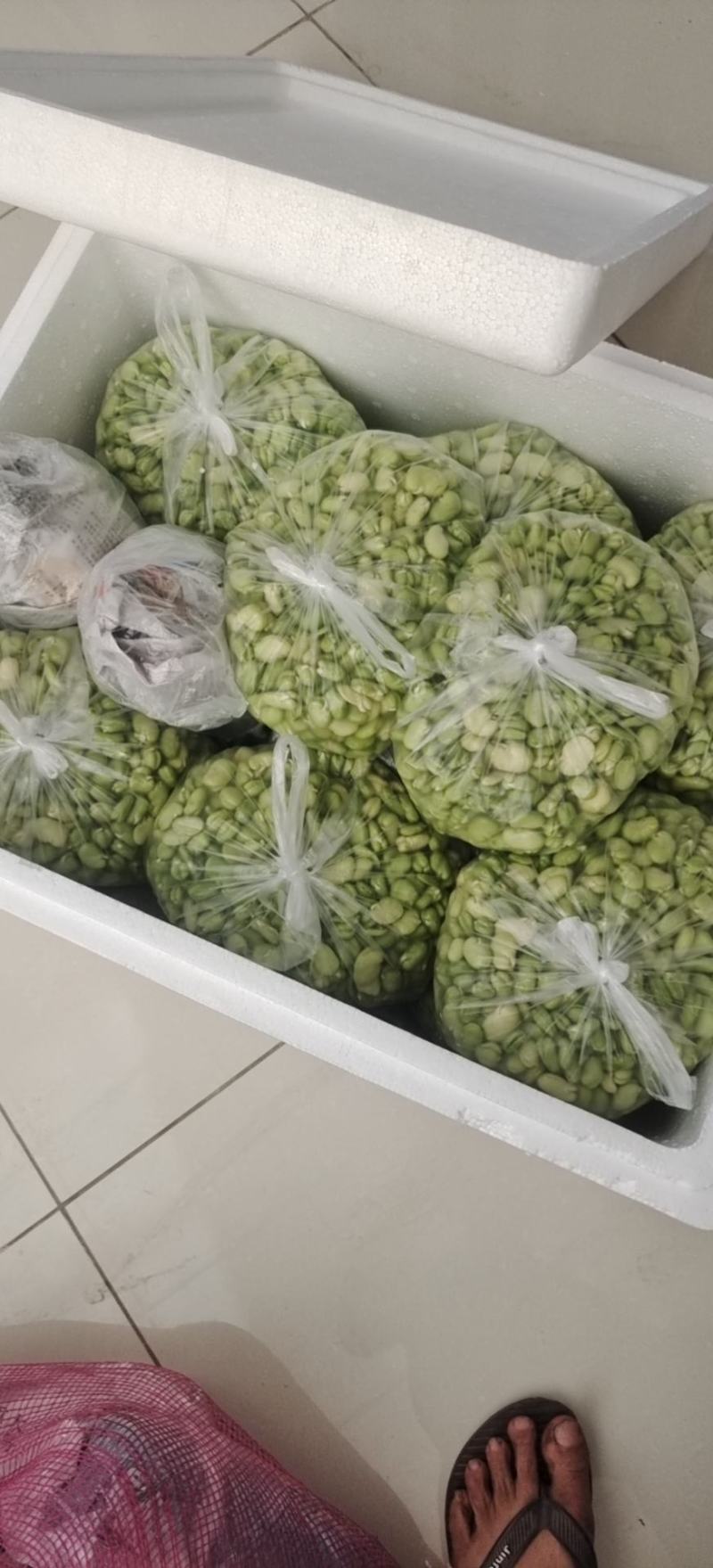【新鲜当日看得见】新鲜蚕豆米，现摘现博豆米，量大从优