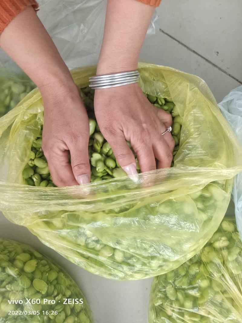 【新鲜当日看得见】新鲜蚕豆米，现摘现博豆米，量大从优