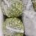 【新鲜当日看得见】新鲜蚕豆米，现摘现博豆米，量大从优