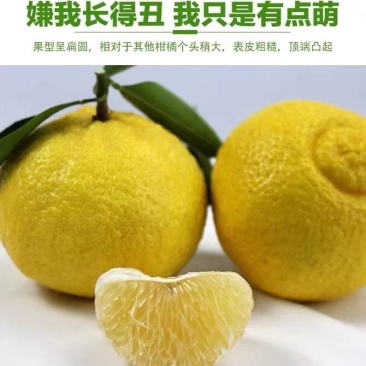 黄金贡柚