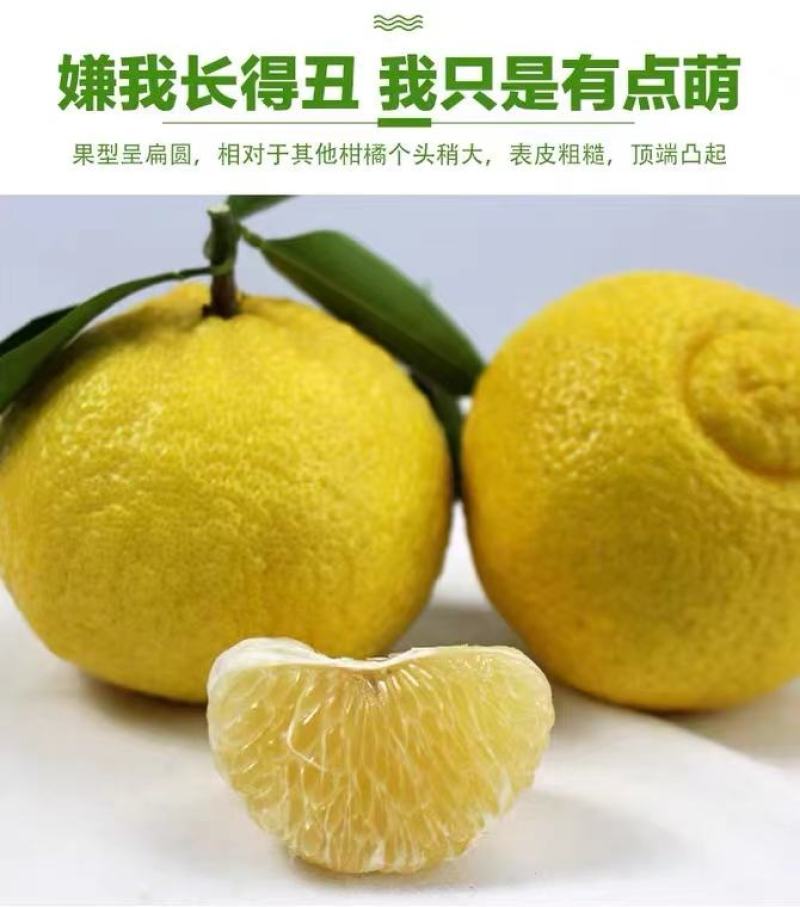 黄金贡柚