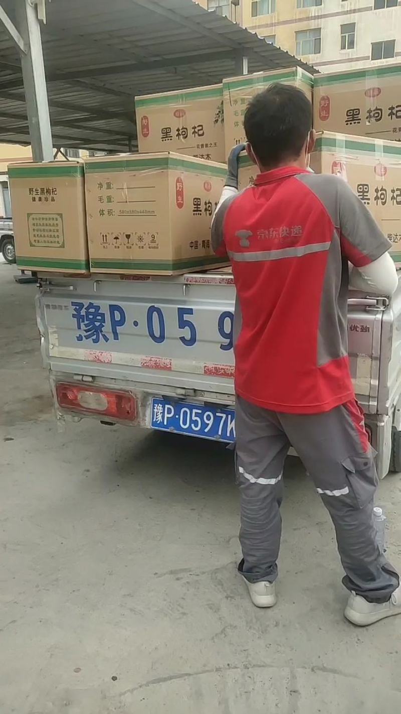 黑枸杞(产地源头直发)柴达木盆地的黑杞花青素含量高足干