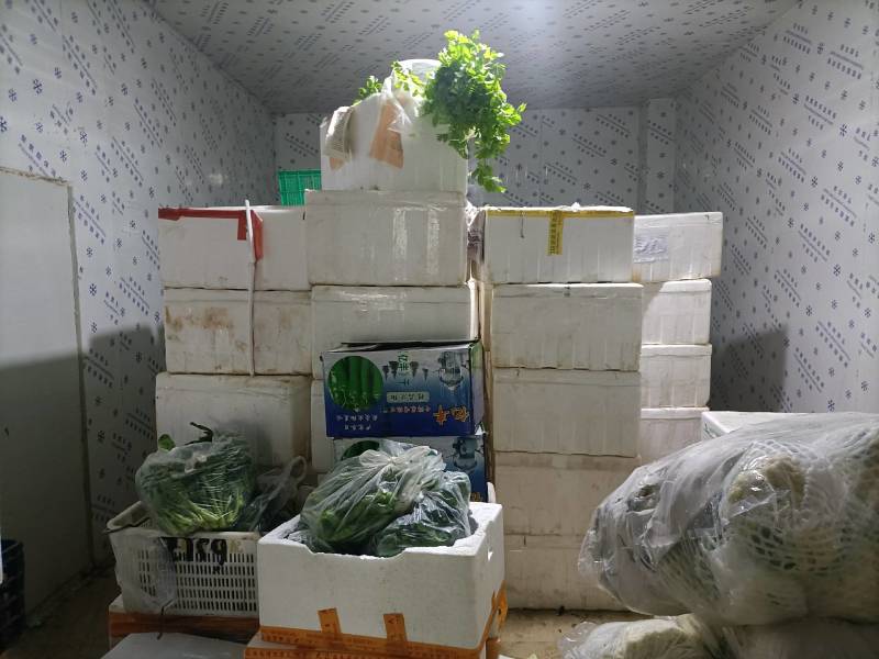 收过香港运输蔬菜
