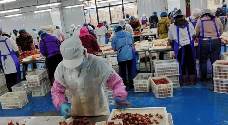 麻辣龙虾尾，250克铝餐盒装！源头工厂！可贴牌加工