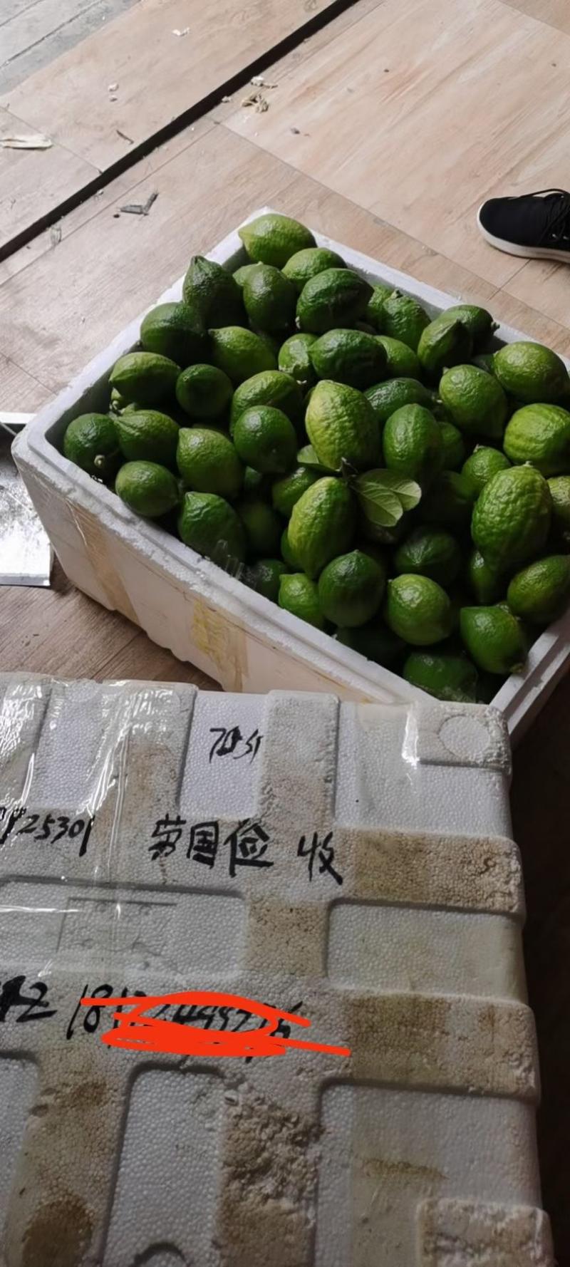 广东香水柠檬千亩基地果园直销长期供应一件代发