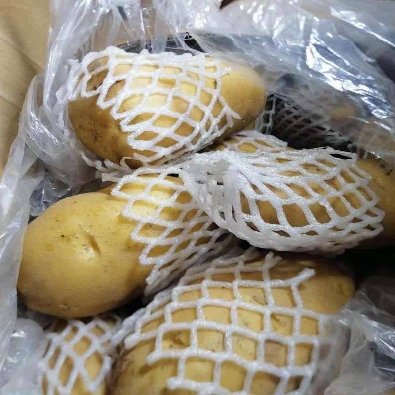 山东黄心冷库土豆大量供应，直发市场，电商，超市，产地