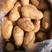 潍坊黄心冷库土豆大量供应，直发市场，电商，超市，产地直发